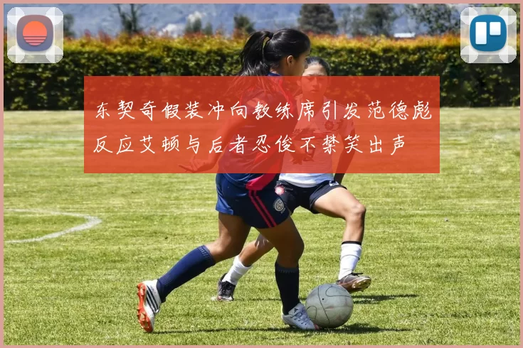 东契奇假装冲向教练席引发范德彪反应艾顿与后者忍俊不禁笑出声